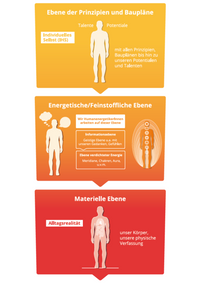 3-Ebenen-Modell Humanenergetik